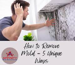 How To Remove Mold 5 Unique Ways