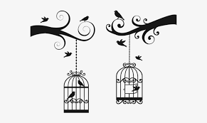 Bird Cage Wall Design Transpa Png