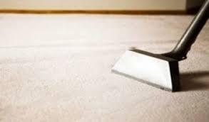 carpet cleaning auckland expert
