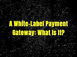 a white label payment gateway what is it