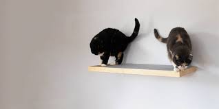 Wall Mounted Cat Furniture Purrfect