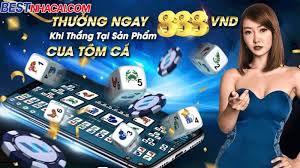 Casino Playmod