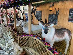 inside altons garden centre where