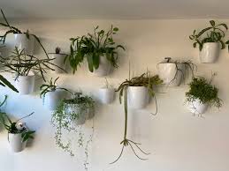 hang plants without drilling holes