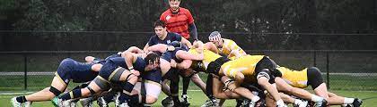 rugby university of notre dame