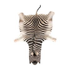 authentic zebra skin rug at 1stdibs