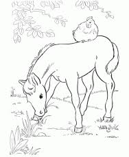 James lord pierpont était un compositeur et arrangeur de chansons et organiste, et son jingle bells, originallement intitulée the one horse open sleigh, est son oeuvre la plus connue. One Horse Sleigh Colouring Pages Coloring Home