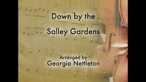down by the salley gardens violin