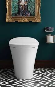 the kohler intelligent toilet seat