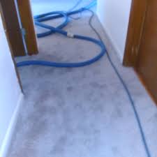 carpet cleaning in gainesville fl