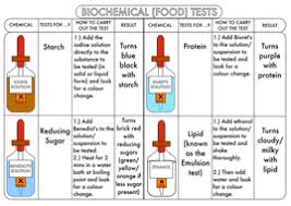 In this test dark red sudan iv is added to a solution along with ethanol to dissolve any possible lipids. Food Tests Biology Quizizz