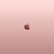 400 rose gold wallpapers wallpapers com