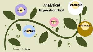 Analytical exposition text is the type of writing that is used to persuade readers by elaborating on the writers ideas about the topic. Analytical Exposition By Tya Marina