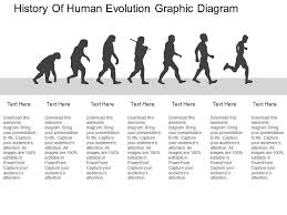 History Of Human Evolution Graphic Diagram Flat Powerpoint