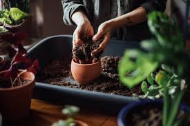 best soil for indoor plants kellogg