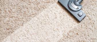 professional carpet cleaning services