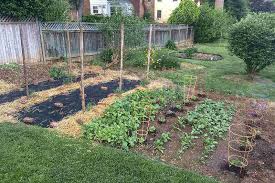 Landscape Fabric In A Garden Or Flower Bed