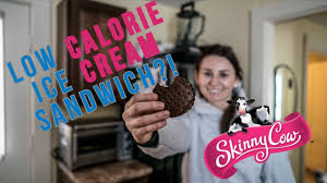 skinny cow ice cream sandwich review