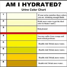 Dehydration Pee Color Chart Www Bedowntowndaytona Com