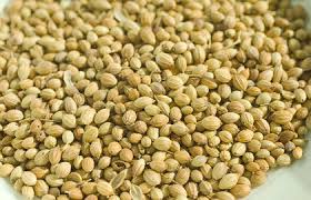 Since long, it has been used for several purposes like as a food additive and as a medicine. Coriander Seeds Ground Coriander Seeds Whole Coriander Seeds Suppliers