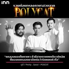เพลง แนว polycat 5