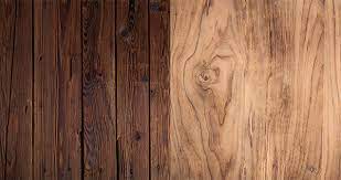 hardwood versus softwood