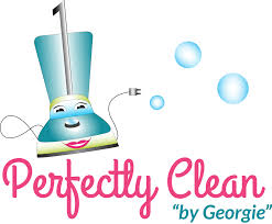 cleaning services in port richey