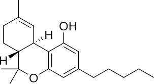 Tetrahydrocannabinol Wikipedia
