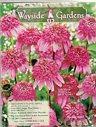 wayside gardens catalog spring 2003
