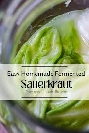 easy homemade fermented sauer a