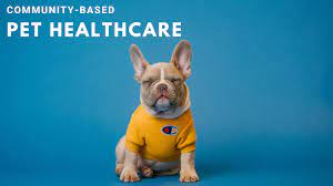 Read more about dog insurance, calculate the price, and buy insurance for your dog conveniently online. This Community Based Alternative To Pet Insurance Is Revolutionizing The Healthcare Industry