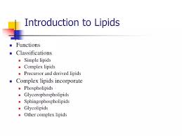 ppt introduction to lipids powerpoint