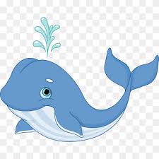whale cartoon png images pngwing