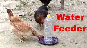 easy homemade water feeder for en