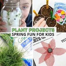 Plant Activities For Preschoolers