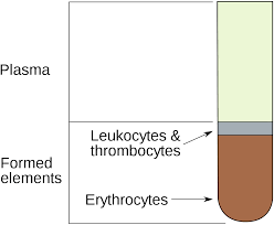 Hematocrit Wikipedia