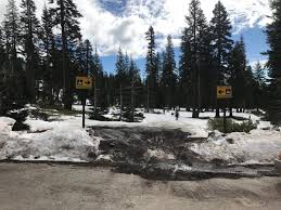 Bunny Flat and the Old Ski Bowl | Mount Shasta Avalanche Center