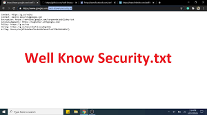 access well known security txt file