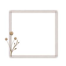 aesthetic frames png transpa images