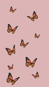 Aesthetic Butterfly Pictures Wallpapers ...