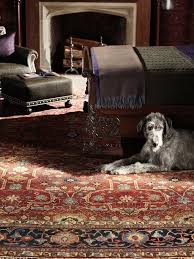 how to clean a wool rug from dog urine