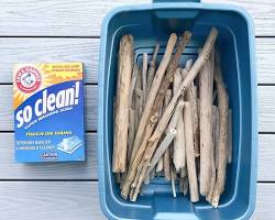 Image of Driftwood cleaning