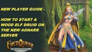 Everquest druid spell guideall software. Everquest Guide Starting A Wood Elf Druid On A New Tlp Server In 2021 Youtube
