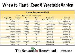 When To Plant Vegetables In Zone 6