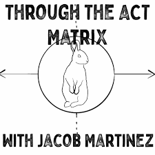 Through the ACT Matrix Podcast