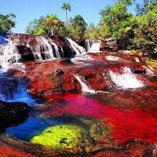 Also known as the river of five colors, caño cristales is the most spectacular natural wonder in the country. Best 30 Cano Cristales Fun On 9gag