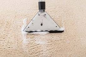 largo pro green solutions carpet cleaning