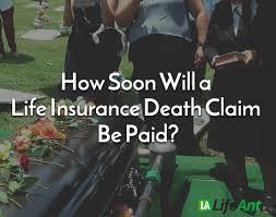 Check spelling or type a new query. How Soon Will A Life Insurance Claim Be Paid Life Ant