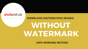 how to shutterstock images for