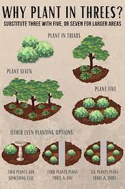 Plan Your Garden By Planting In Threes